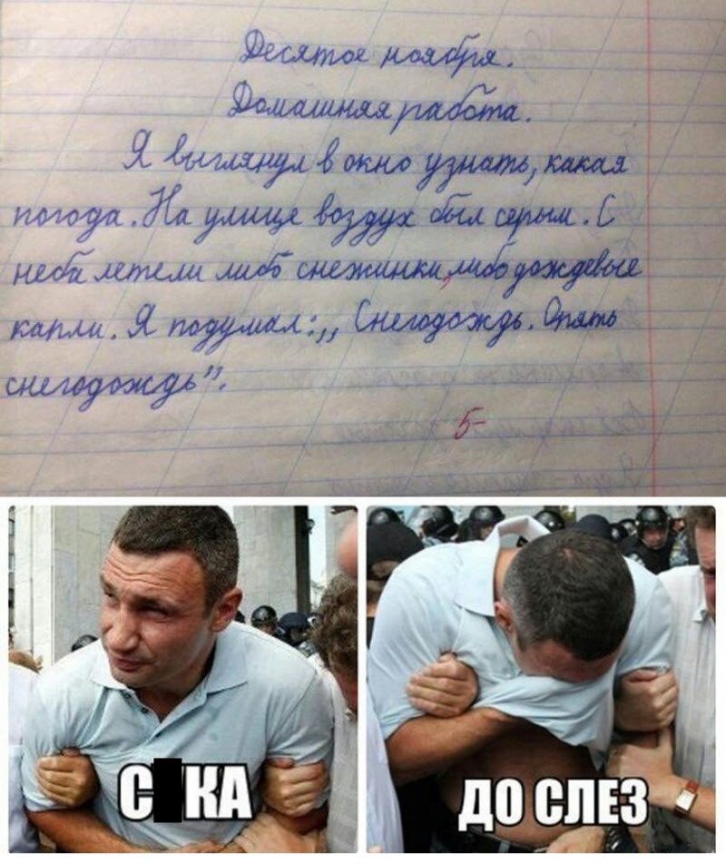 Прикольные картинки