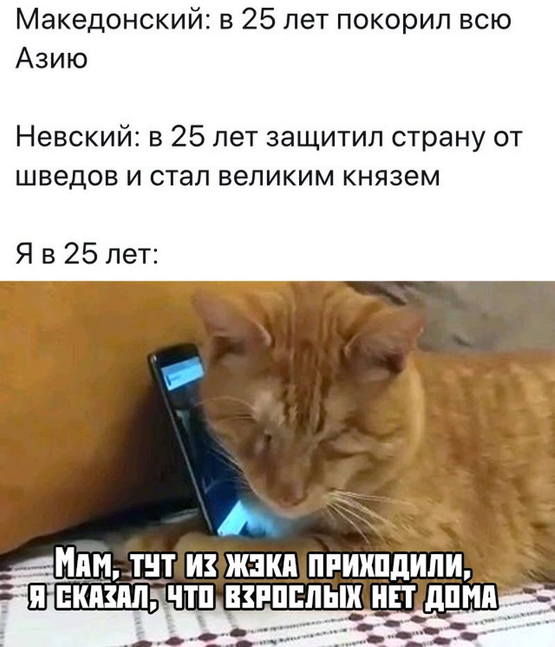 Прикольные картинки