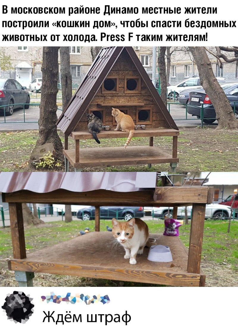 Прикольные картинки