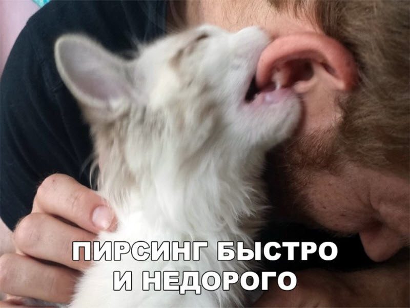 Прикольные картинки