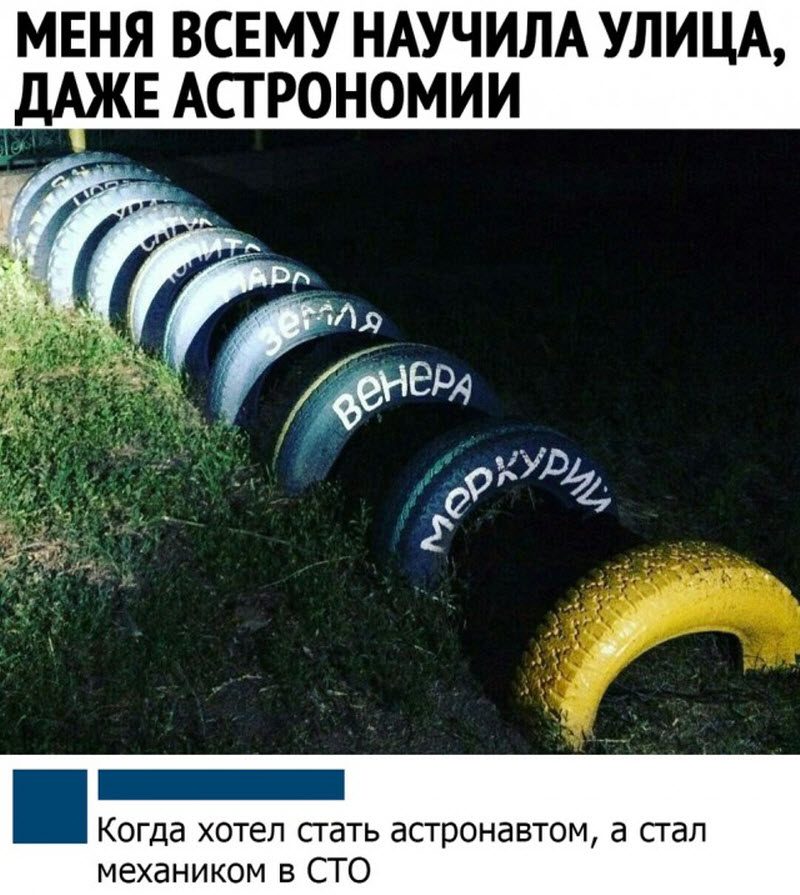 Прикольные картинки