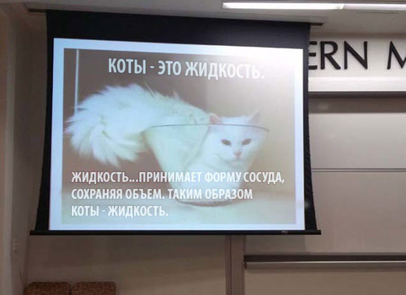 Когда учителя действительно круты Когда учителя действительно круты