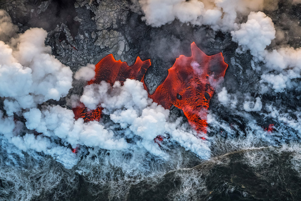 Призеры европейского конкурса фотографий дикой природы 2019 Призеры европейского конкурса фотографий дикой природы 2019