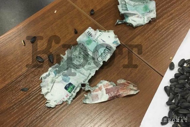 Майор полиции съел взятку, закусив семечками