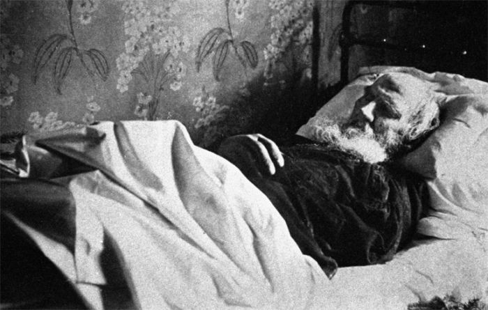 Любопытные факты о жизни Льва Толстого Любопытные факты о жизни Льва Толстого