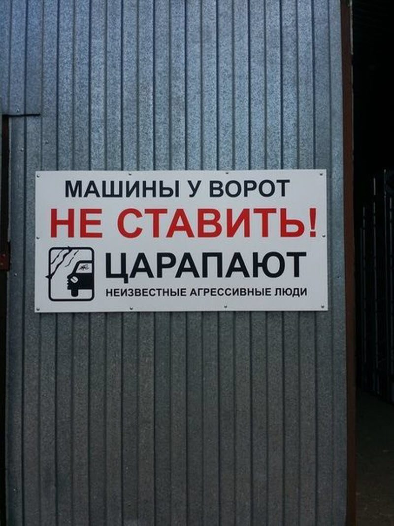 Прикольные картинки