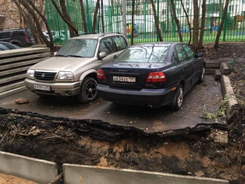 Прикольные картинки