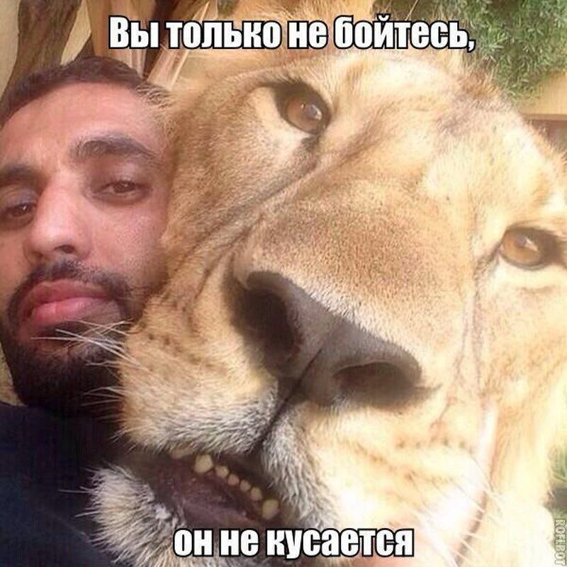 Прикольные картинки