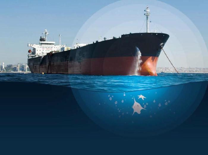 Почему из корабля постоянно выливается вода? Почему из корабля постоянно выливается вода?