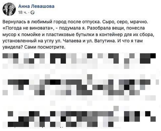 Чиновницу Анну Левашову уволили из-за гневного поста в соцсети