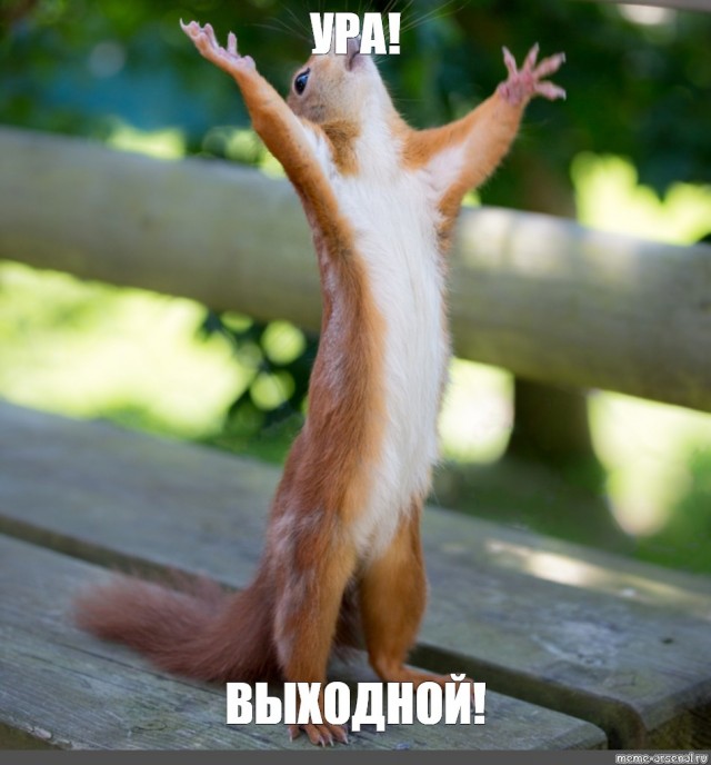 В Госдуме внесли законопроект сделать 31 декабря выходным В Госдуме внесли законопроект сделать 31 декабря выходным