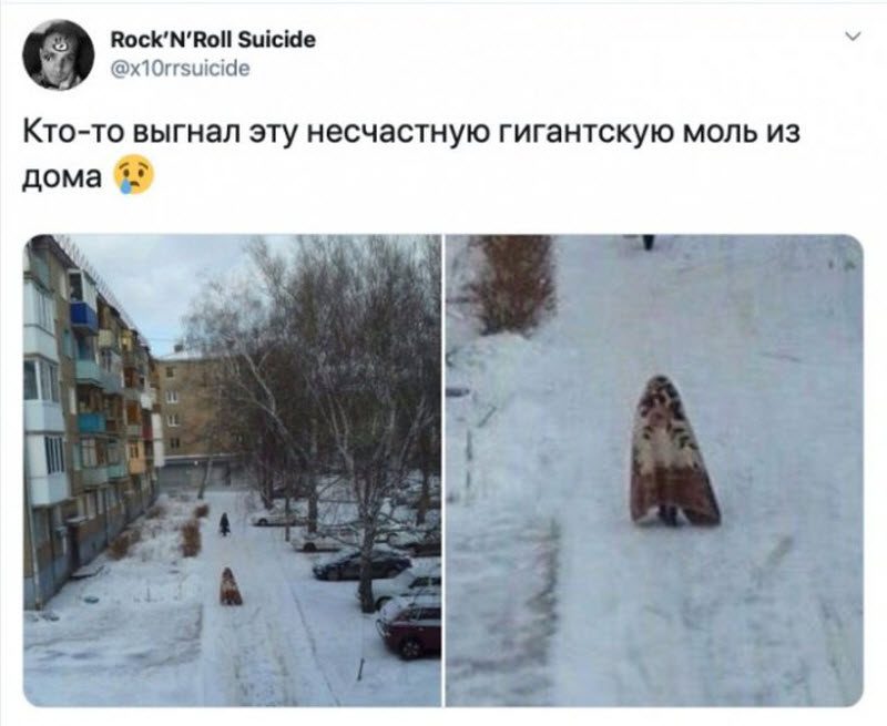 Прикольные картинки