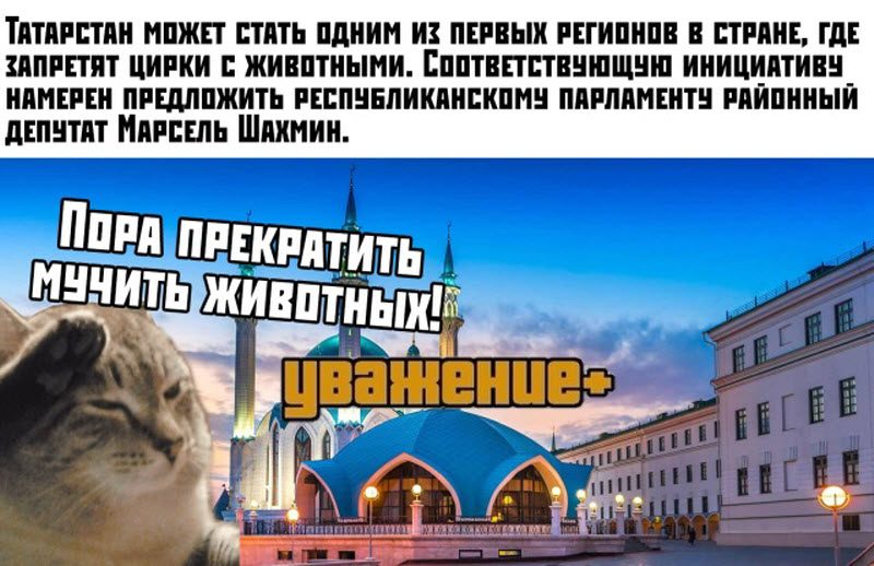Прикольные картинки