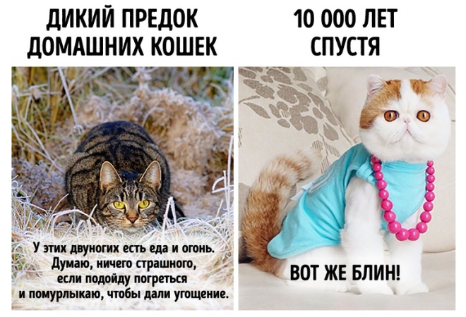 Доказательства того, что наша жизнь летит слишком быстро
