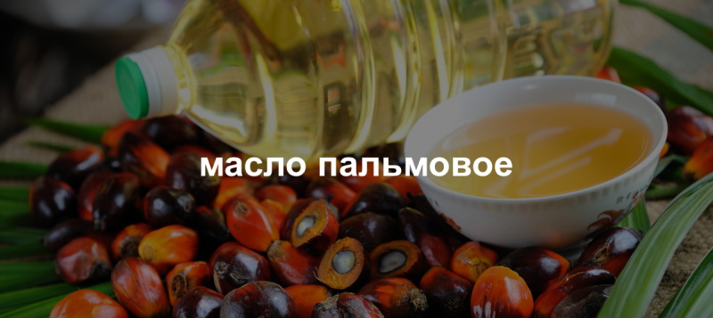 Как определить пальмовое масло в продуктах питания Как определить пальмовое масло в продуктах питания