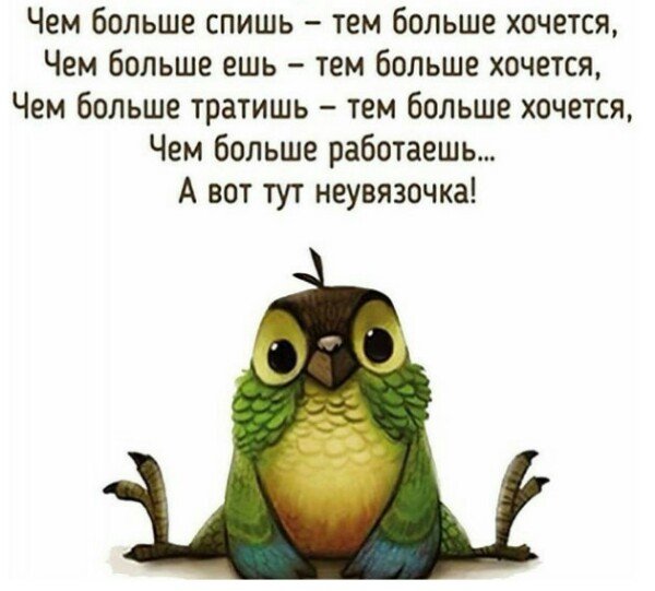 Умные ответы на глупые вопросы