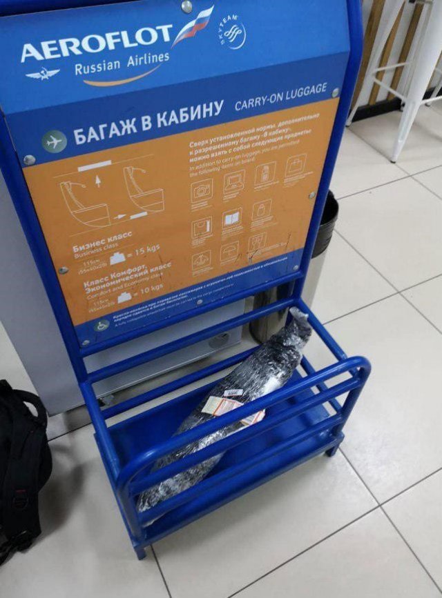 Помните толстого кота, которого не пустили в самолет? У него появился товарищ по несчастью