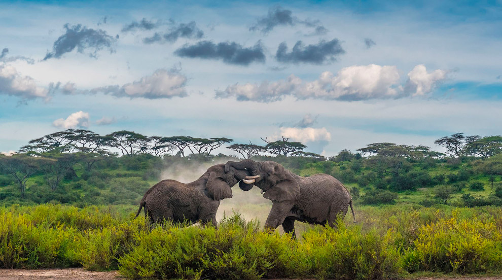 Лучшее с конкурса панорамной фотографии Epson International Pano 2019 Лучшее с конкурса панорамной фотографии Epson International Pano 2019