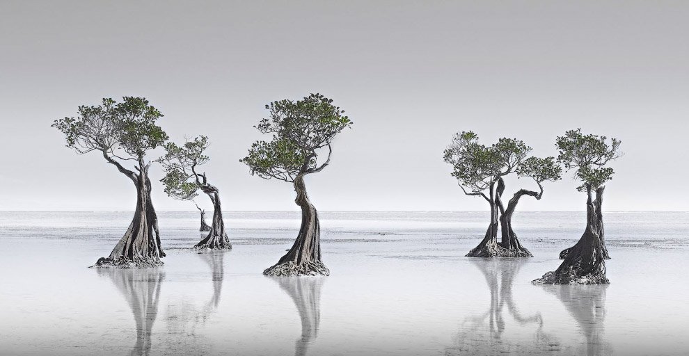 Лучшее с конкурса панорамной фотографии Epson International Pano 2019 Лучшее с конкурса панорамной фотографии Epson International Pano 2019