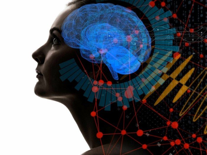 Можно ли повысить свой IQ Можно ли повысить свой IQ
