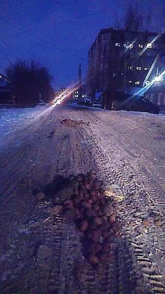 Жители Омска придумали радикальный способ борьбы с ямами Жители Омска придумали радикальный способ борьбы с ямами