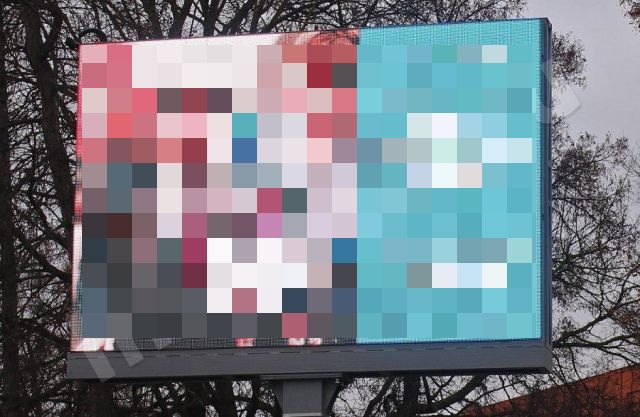 В Орле призывают заботиться о ветеринарах В Орле призывают заботиться о ветеринарах