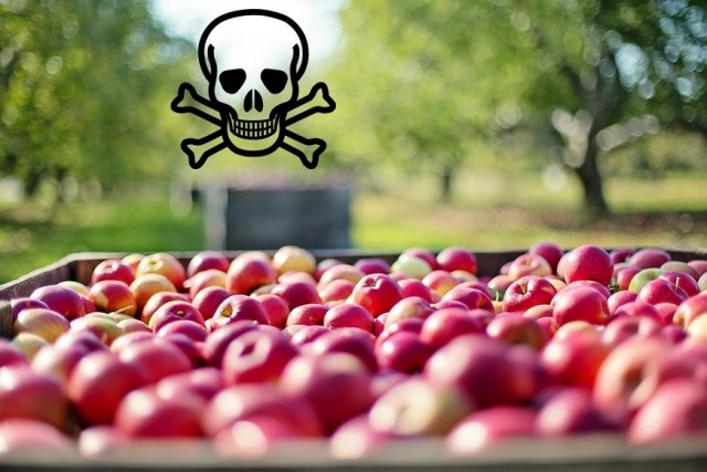 Нашёл iPhone - выкинь!    