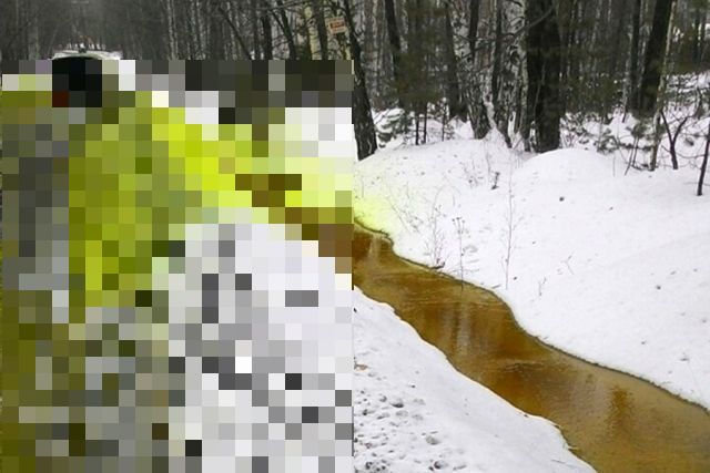 Ничего необычного, просто с зеленый снежок в Свердловской области