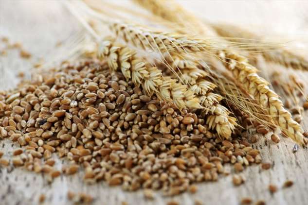 Продукты для идеального пищеварения Продукты для идеального пищеварения