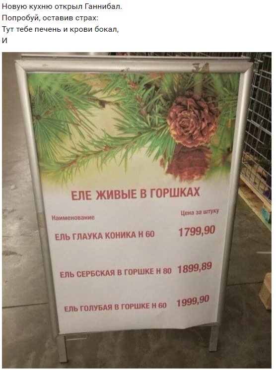 С рифмами по жизни С рифмами по жизни
