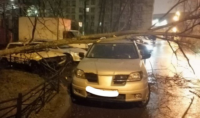 Последствия штормового ветра в Петербурге Последствия штормового ветра в Петербурге