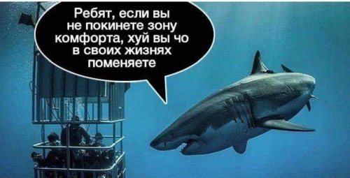 Психолог сообщила, что выход из зоны комфорта порой нехило переоценивают Психолог сообщила, что выход из зоны комфорта порой нехило переоценивают