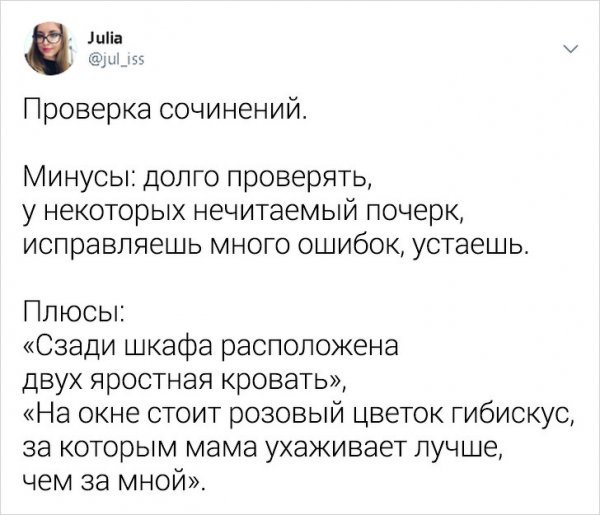 Забавные и правдивые твиты о школьной жизни от учительницы