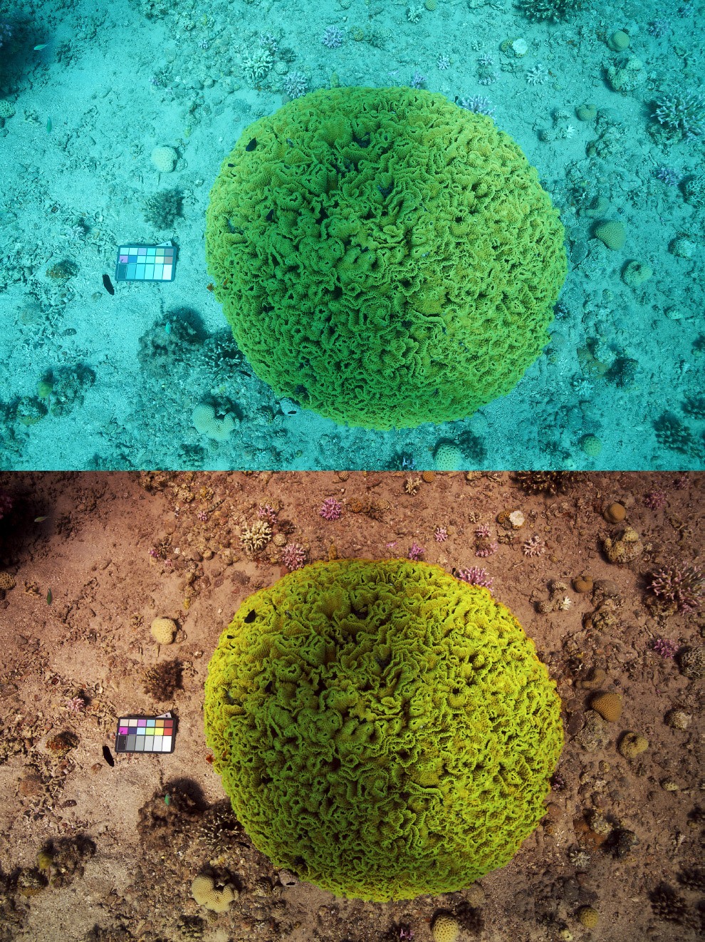 Море без воды Море без воды