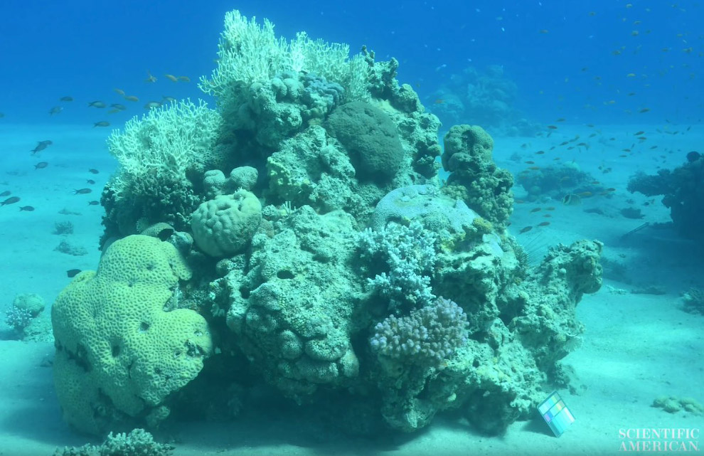 Море без воды Море без воды