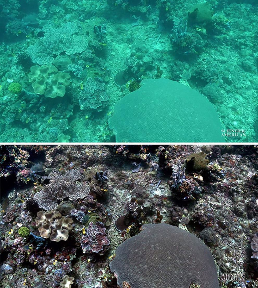 Море без воды Море без воды