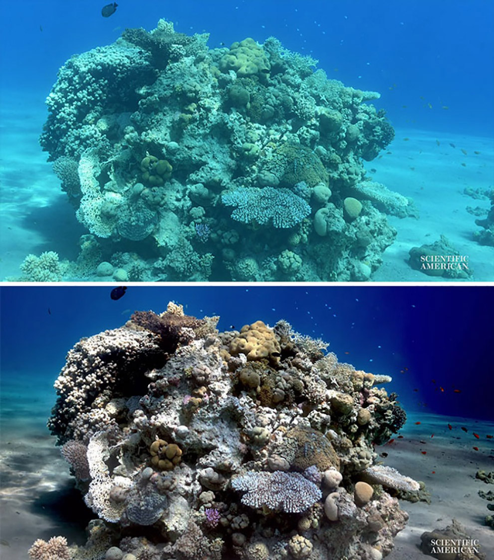 Море без воды Море без воды