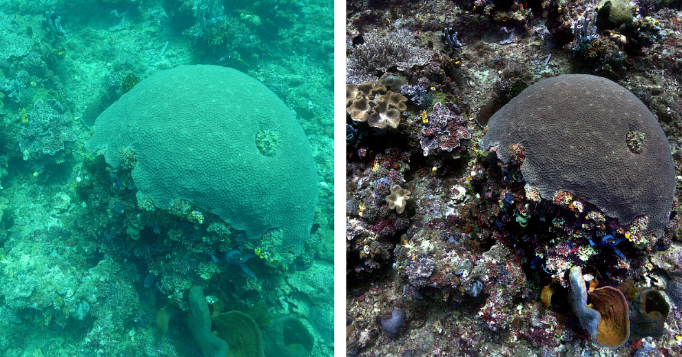 Море без воды Море без воды