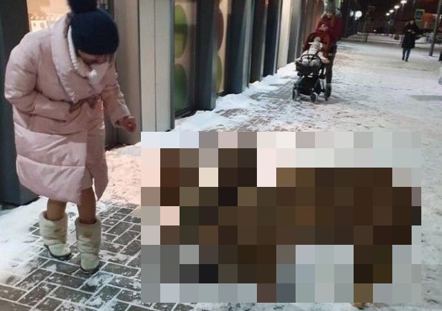 Символы ушедшего года устроили дебош в Тюменском магазине