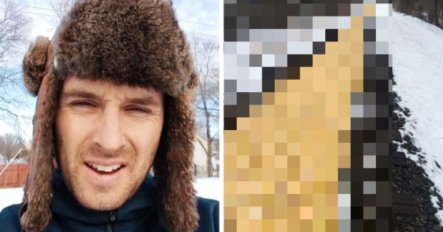 Рай перфекциониста или утечка кукурузы в Миннесоте