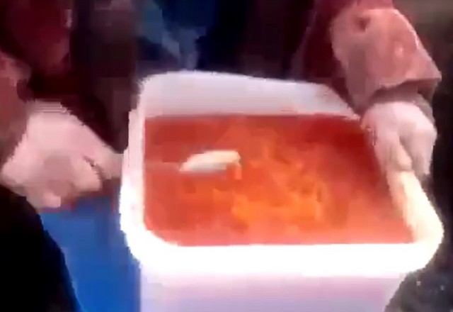 Плохо едят, что ж поделать