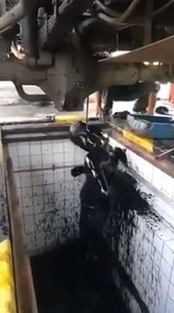 Утренний душ автомеханика