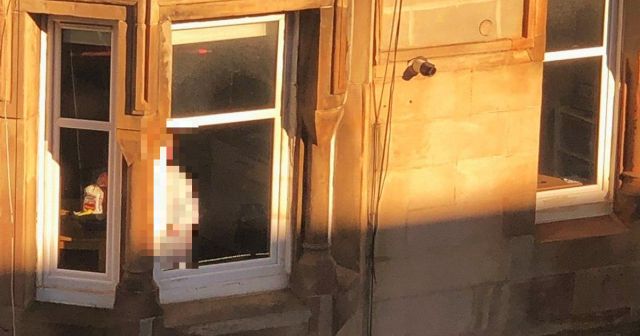 Она просто стоит и смотрит: соседи зловеще разыграли девушку