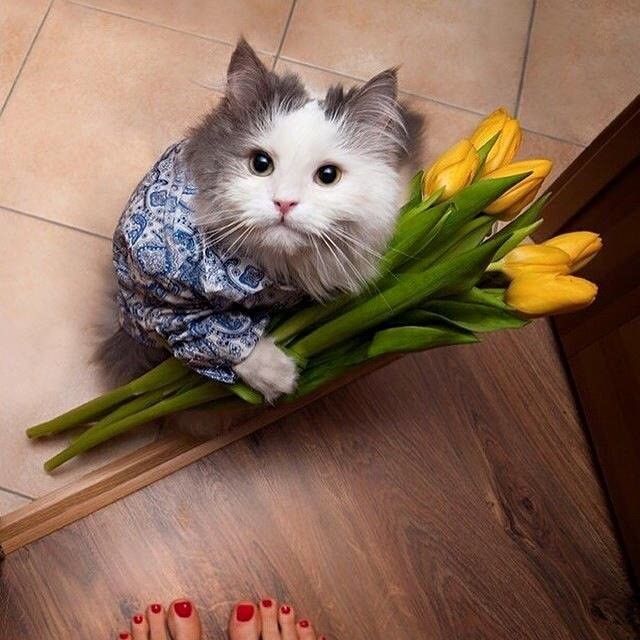 8 марта!