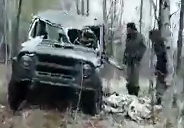 Вот что бывает, когда встретишь медведя в лесу