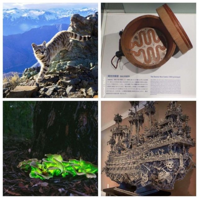 Интересные фотографии, которые расскажут о разных удивительных вещах