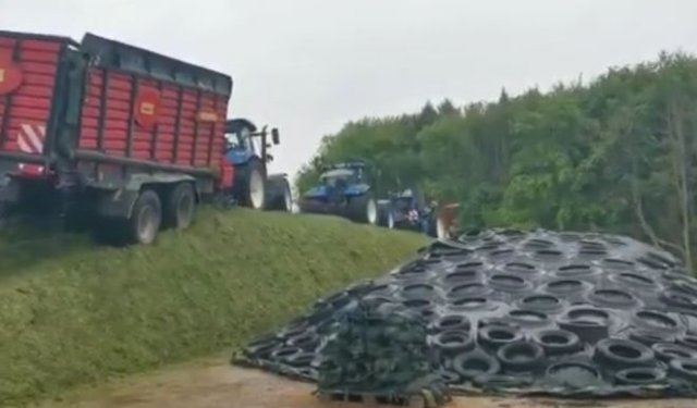 Все старания коту под хвост