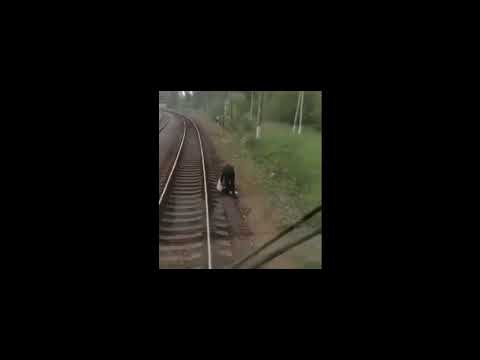 Анна Каренина