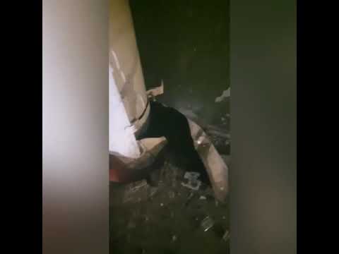 Мусоропровод взорвался