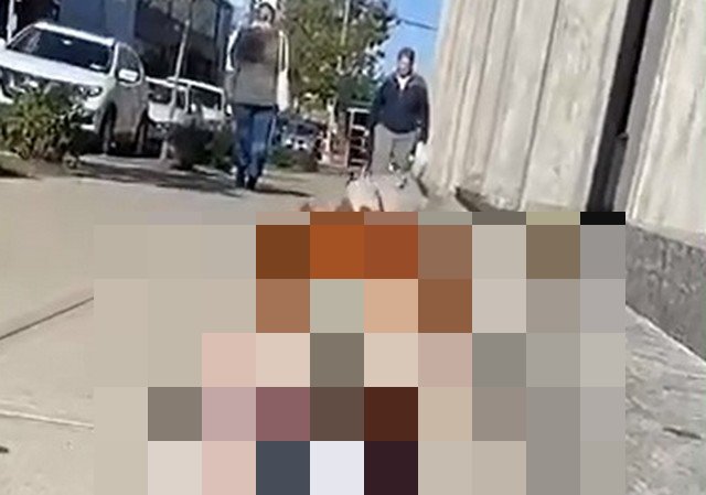 Этот "парень" держит в страхе всю округу